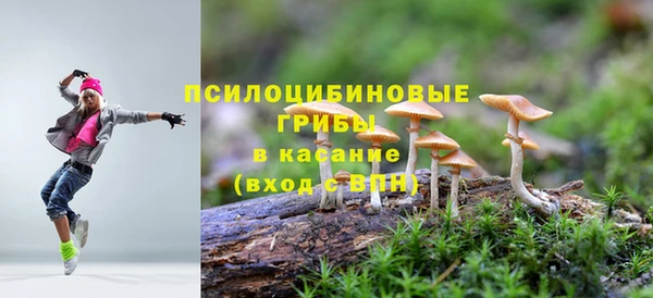 трава Майский