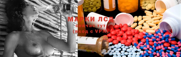 ALPHA PVP Магас